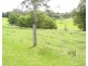 Lot 5 Kalang Road, Bellingen NSW 2454
