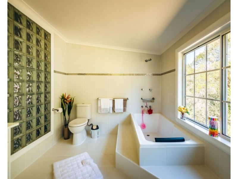 1446 Kalang Road, Bellingen NSW 2454