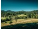 1446 Kalang Road, Bellingen NSW 2454