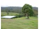 1446 Kalang Road, Bellingen NSW 2454