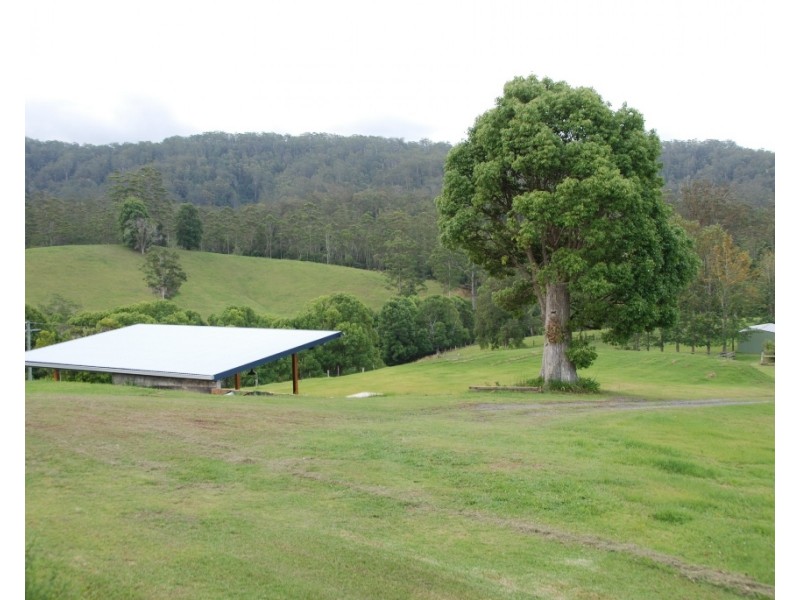 1446 Kalang Road, Bellingen NSW 2454