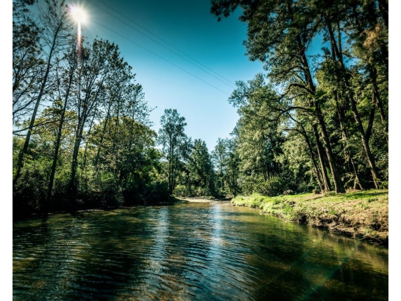 1446 Kalang Road, Bellingen NSW 2454