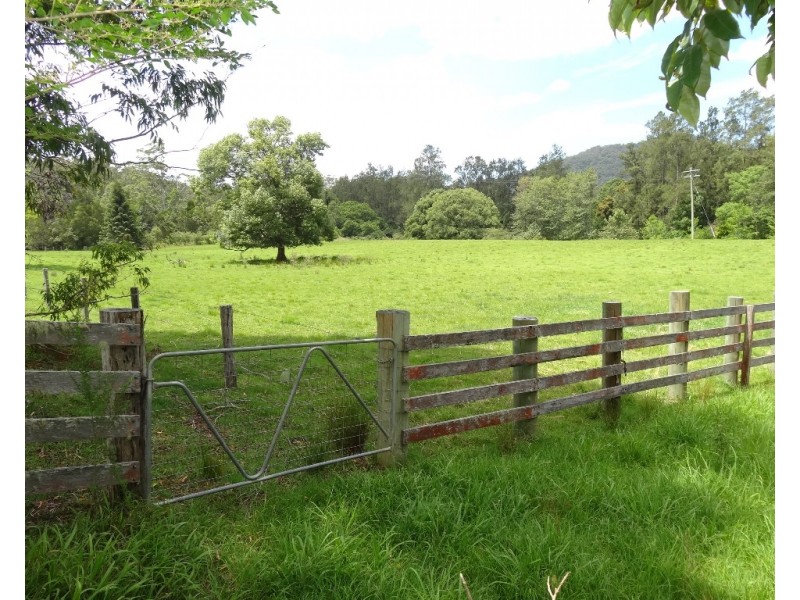 1446 Kalang Road, Bellingen NSW 2454