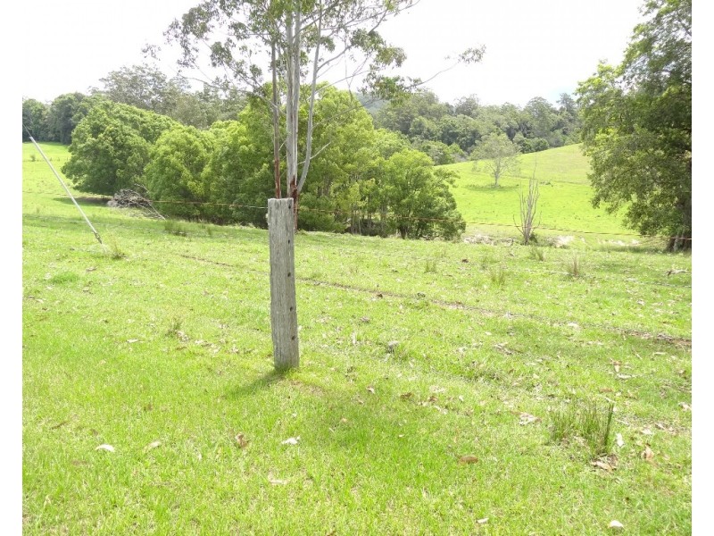 1446 Kalang Road, Bellingen NSW 2454