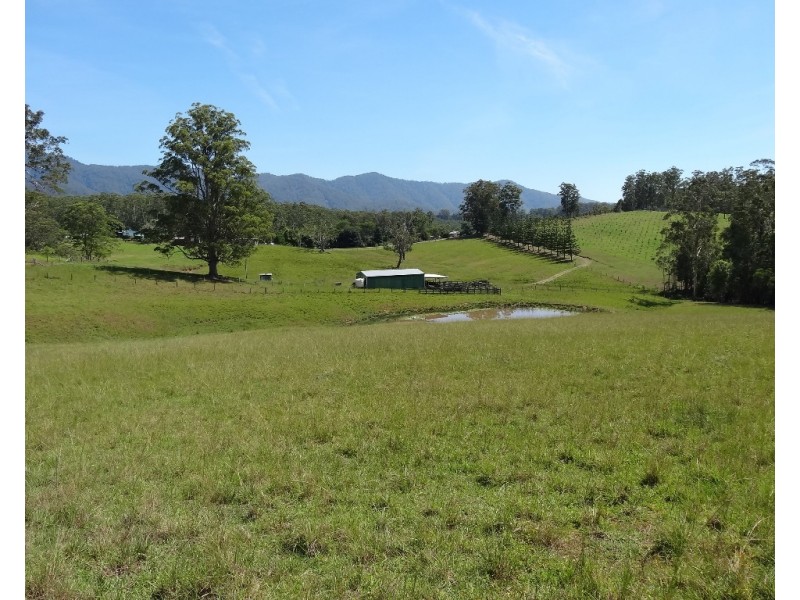 45 Briggenshaws Road, Valery NSW 2454