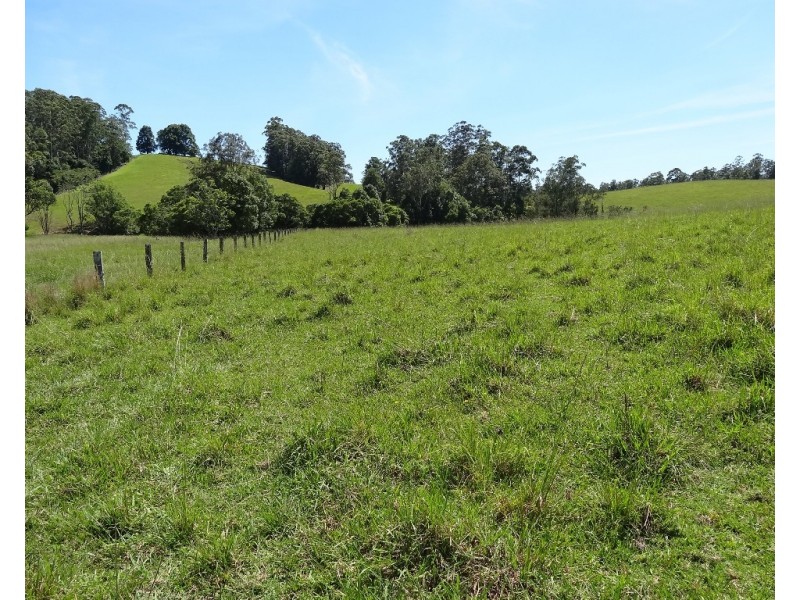 45 Briggenshaws Road, Valery NSW 2454