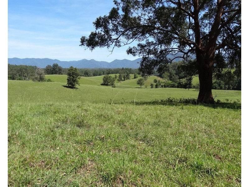 45 Briggenshaws Road, Valery NSW 2454