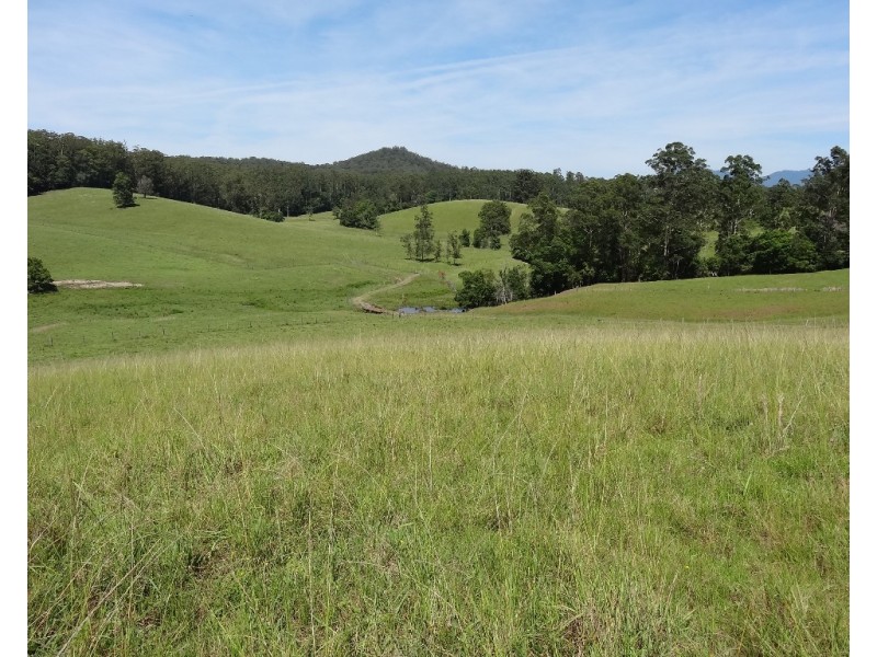 45 Briggenshaws Road, Valery NSW 2454