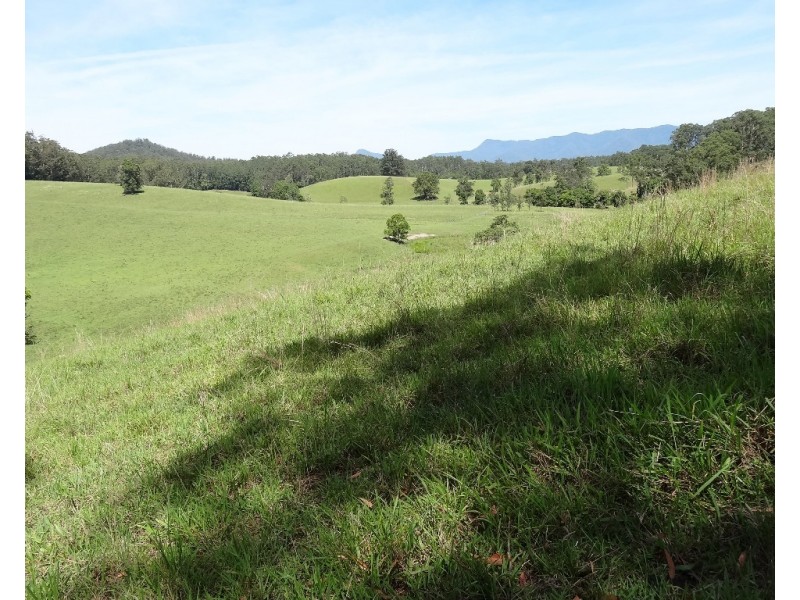 45 Briggenshaws Road, Valery NSW 2454