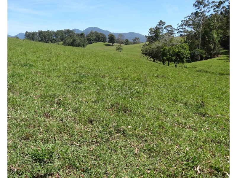 45 Briggenshaws Road, Valery NSW 2454