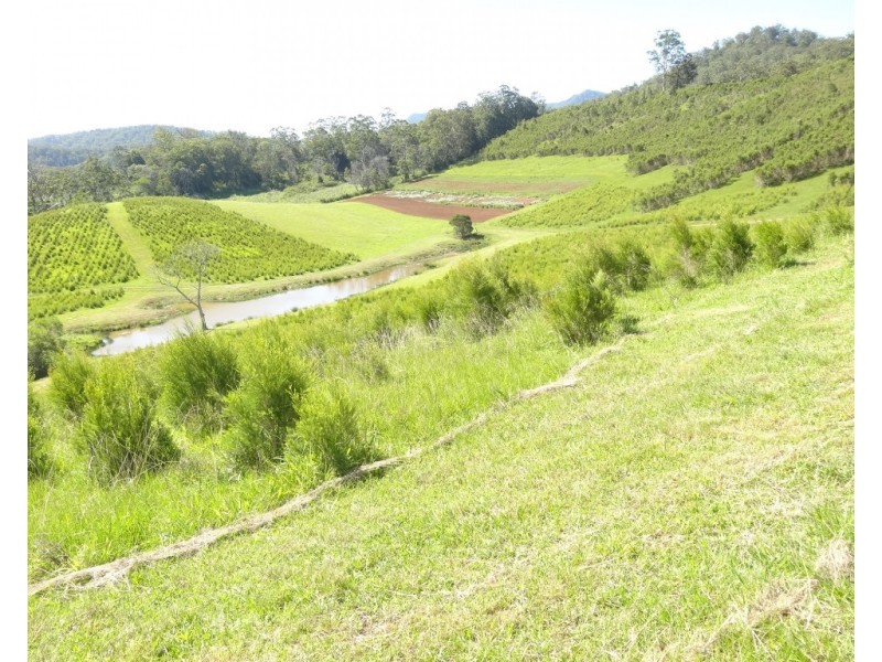 1756 North Arm Road, Bowraville NSW 2449