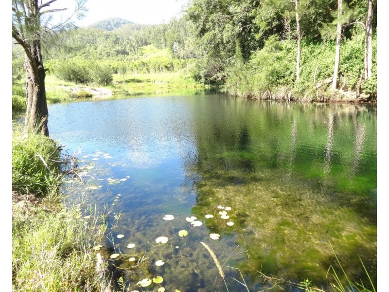 1756 North Arm Road, Bowraville NSW 2449