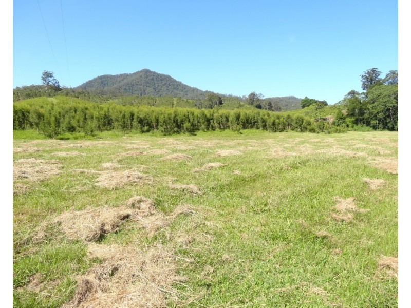 1756 North Arm Road, Bowraville NSW 2449 CENTURY 21 Foreshore 2 Farms