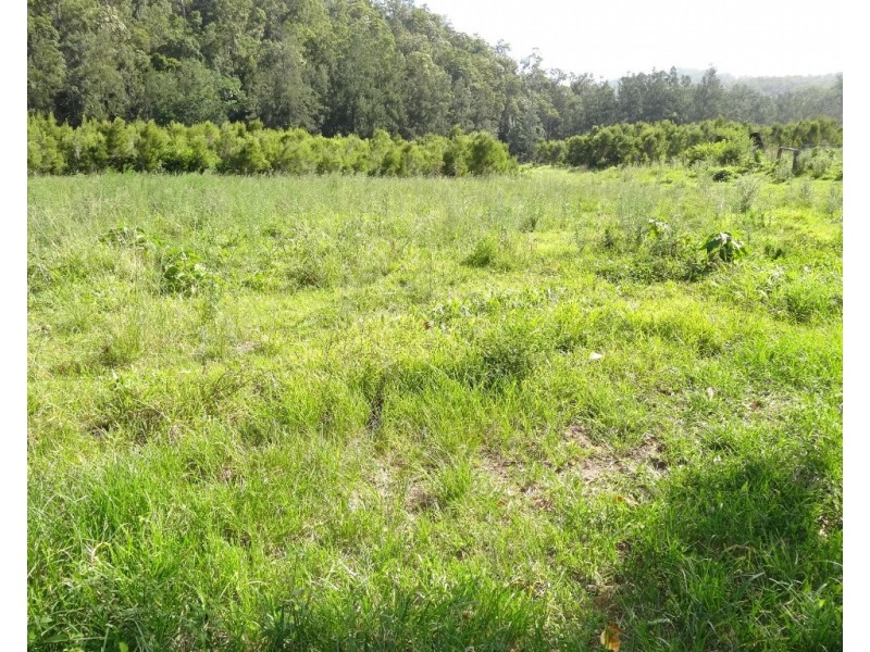 1756 North Arm Road, Bowraville NSW 2449 CENTURY 21 Foreshore 2 Farms