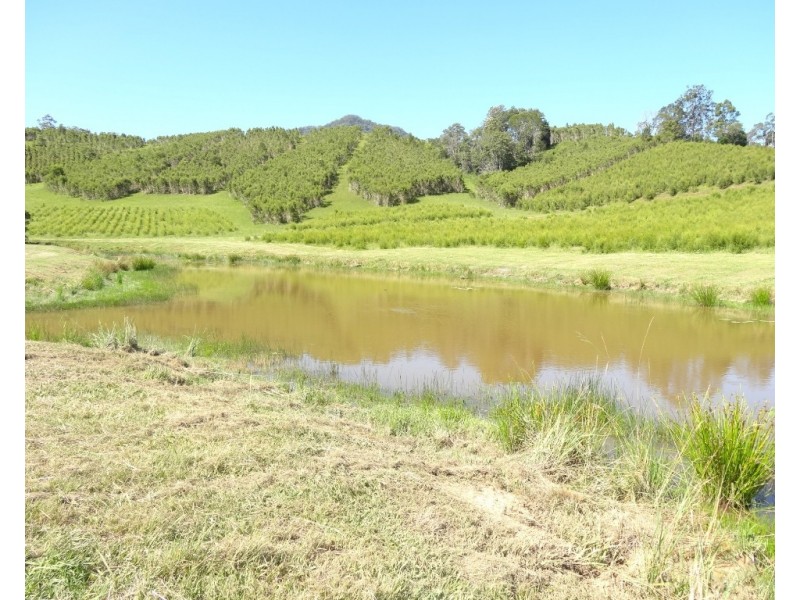 1756 North Arm Road, Bowraville NSW 2449 CENTURY 21 Foreshore 2 Farms