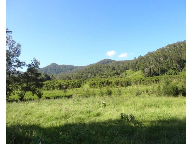 1756 North Arm Road, Bowraville NSW 2449 CENTURY 21 Foreshore 2 Farms