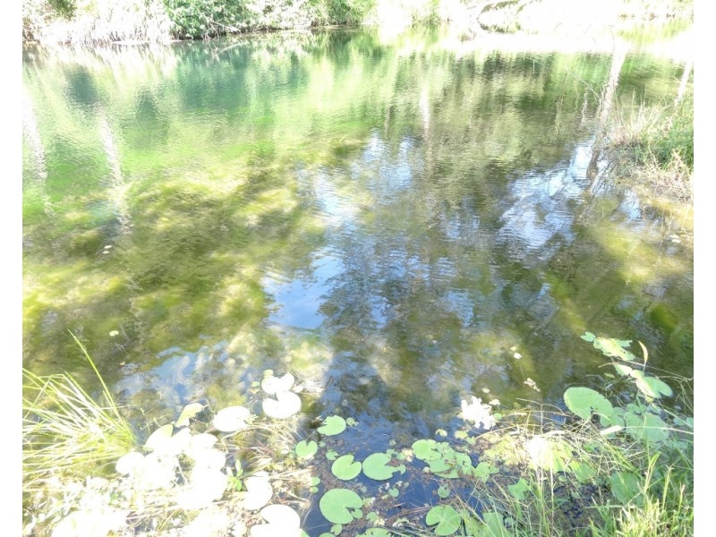 1756 North Arm Road, Bowraville NSW 2449