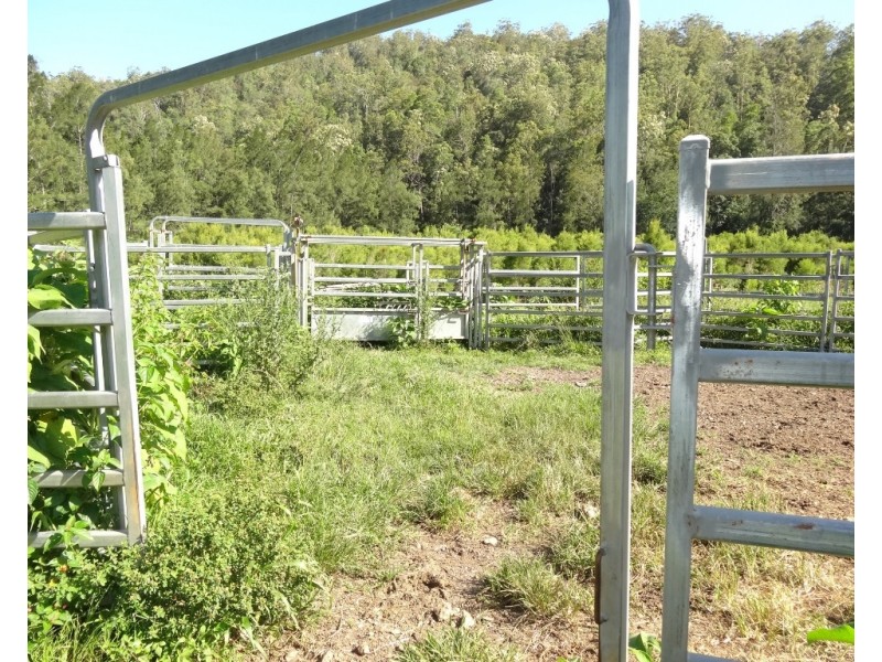 1756 North Arm Road, Bowraville NSW 2449 CENTURY 21 Foreshore 2 Farms