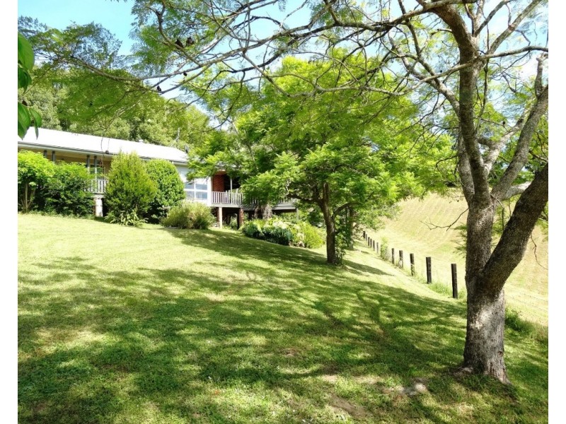 59 Old Brierfield Road, Bellingen NSW 2454