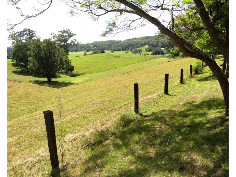 59 Old Brierfield Road, Bellingen NSW 2454