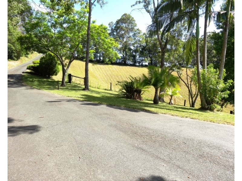 59 Old Brierfield Road, Bellingen NSW 2454