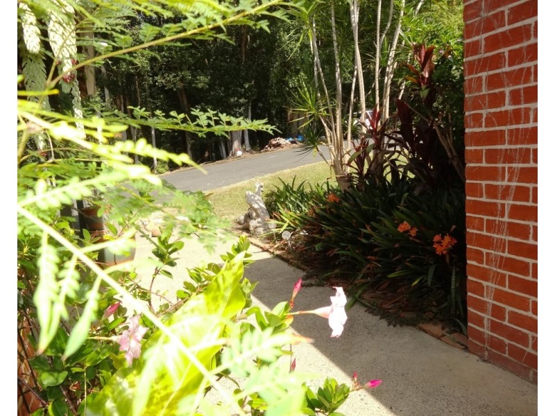 59 Old Brierfield Road, Bellingen NSW 2454