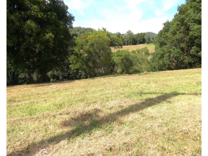 59 Old Brierfield Road, Bellingen NSW 2454