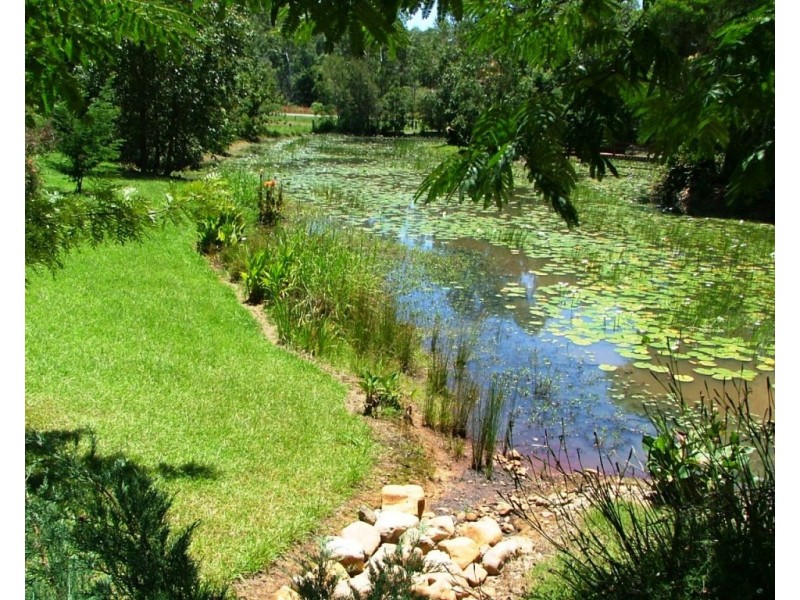 241 Hydes Creek Road, Bellingen NSW 2454