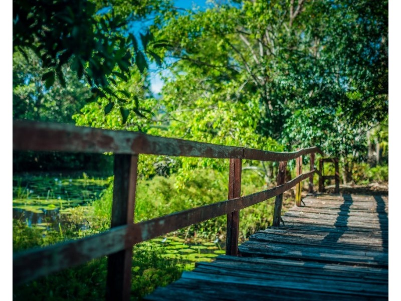 241 Hydes Creek Road, Bellingen NSW 2454