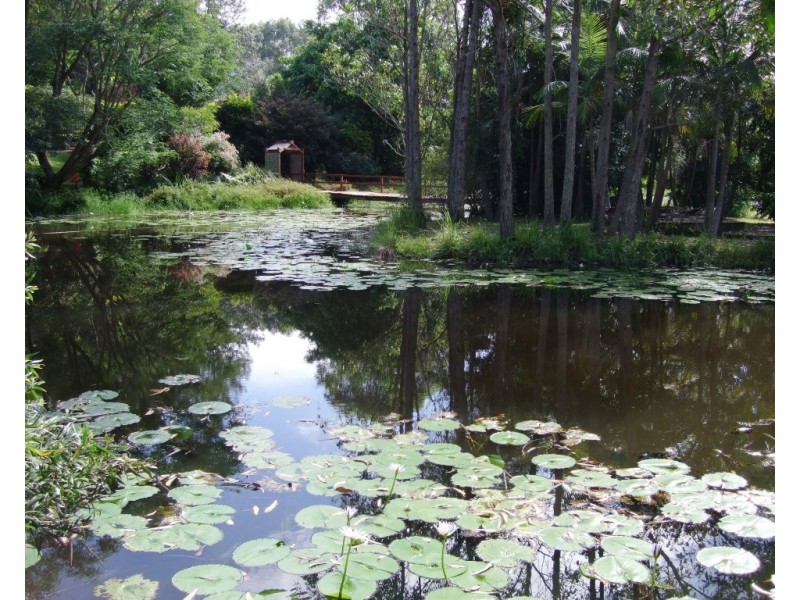 241 Hydes Creek Road, Bellingen NSW 2454