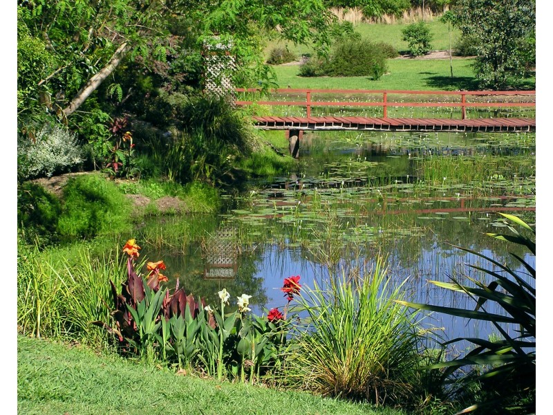 241 Hydes Creek Road, Bellingen NSW 2454