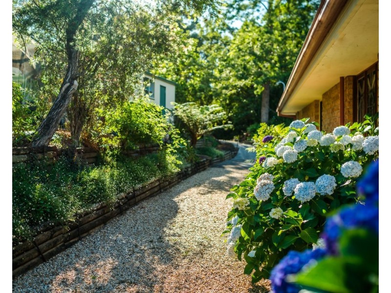 241 Hydes Creek Road, Bellingen NSW 2454