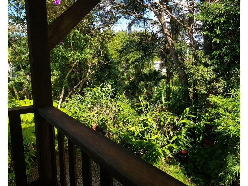 8 Braithwaite Avenue, Bellingen NSW 2454