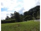 4 Driscoll Close, Bellingen NSW 2454
