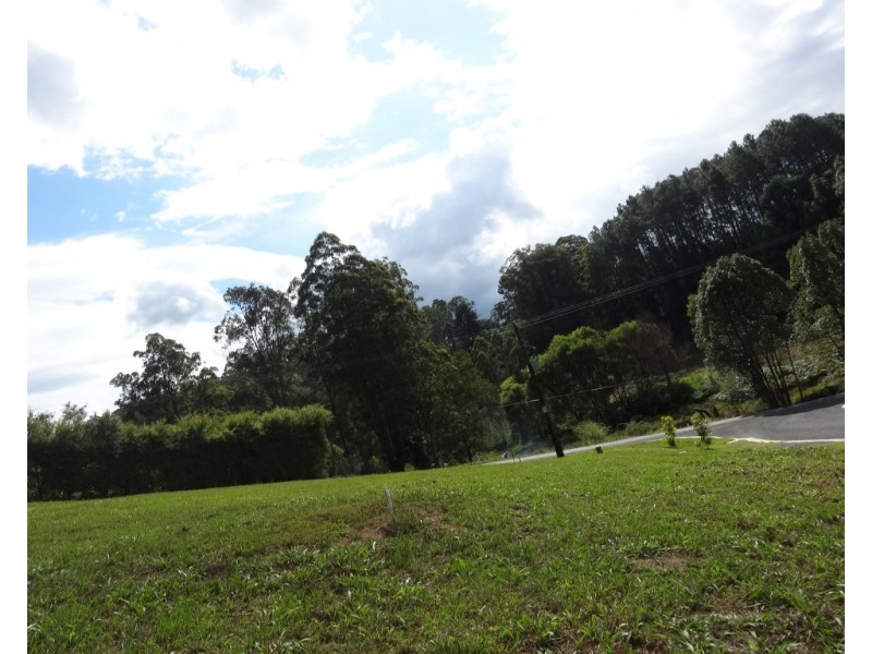 4 Driscoll Close, Bellingen NSW 2454