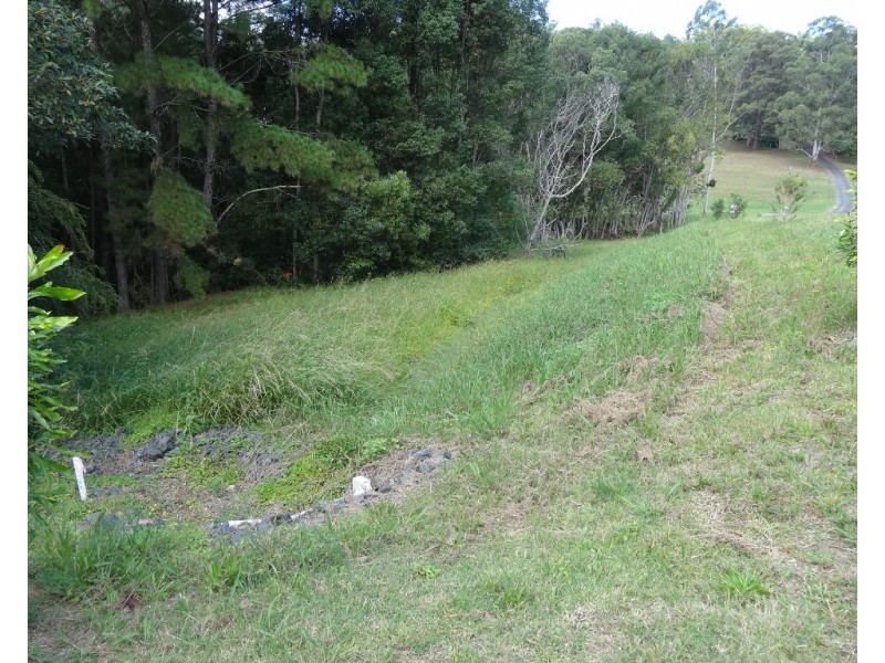 4 Driscoll Close, Bellingen NSW 2454