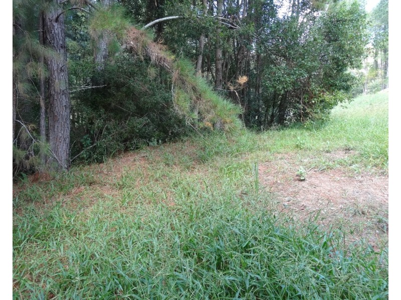 4 Driscoll Close, Bellingen NSW 2454