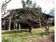 Bellingen NSW 2454