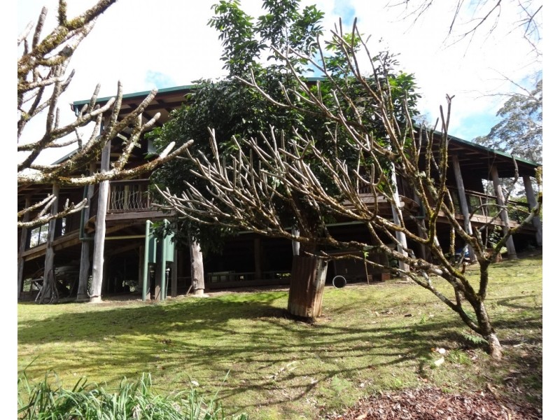 Bellingen NSW 2454