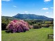 2455 Waterfall Way, Thora, Bellingen NSW 2454