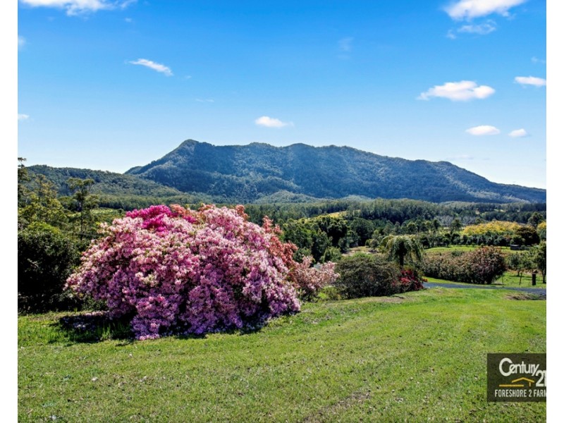 2455 Waterfall Way, Thora, Bellingen NSW 2454