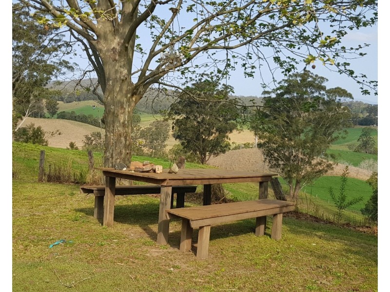 546 Bellingen Road, Missabotti NSW 2449