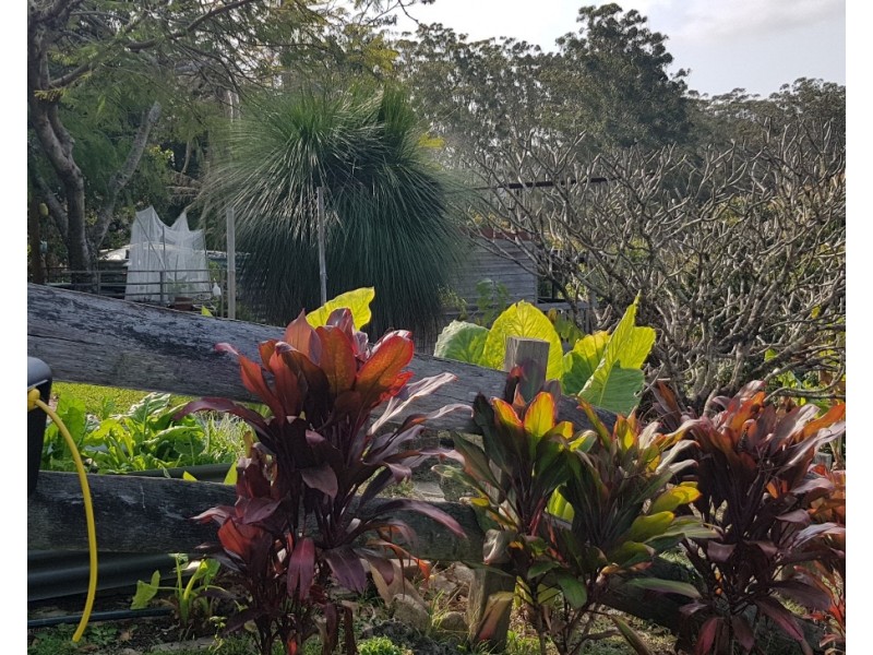 546 Bellingen Road, Missabotti NSW 2449