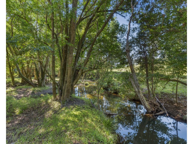 300 Martells Road Brierfield, Bellingen NSW 2454