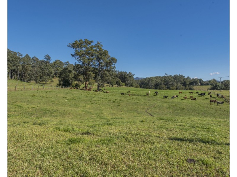 300 Martells Road Brierfield, Bellingen NSW 2454