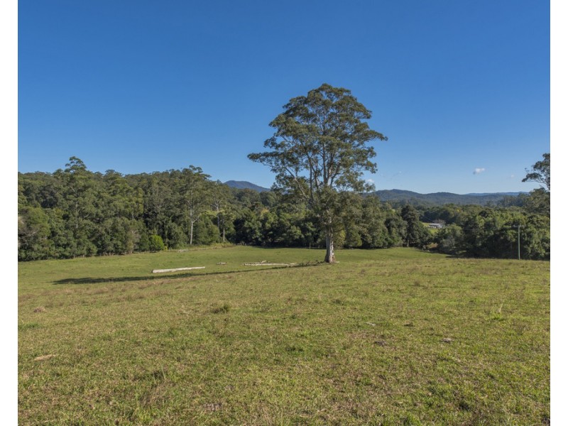 300 Martells Road Brierfield, Bellingen NSW 2454