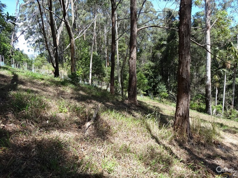 Lot 9 Berkeley Drive, Bonville NSW 2441