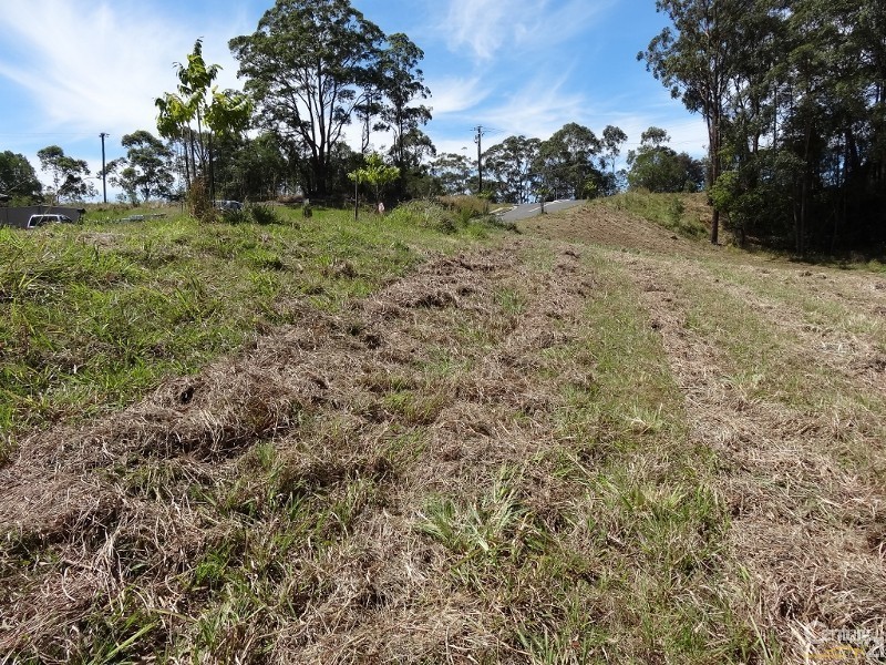 Lot 9 Berkeley Drive, Bonville NSW 2441