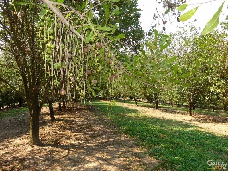 52 Broughams Road, Valla NSW 2448