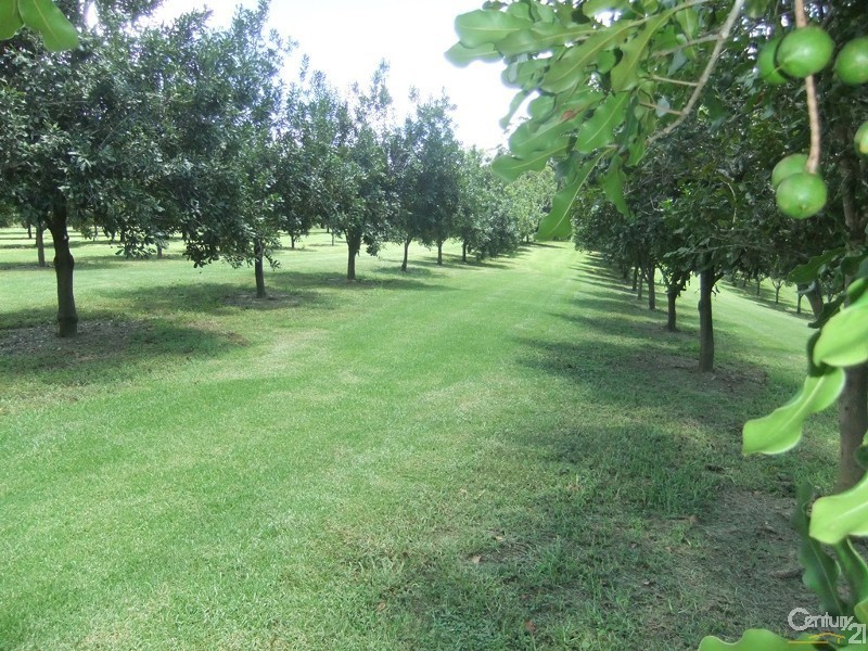 205 Central Bucca Road, Bucca NSW 2450